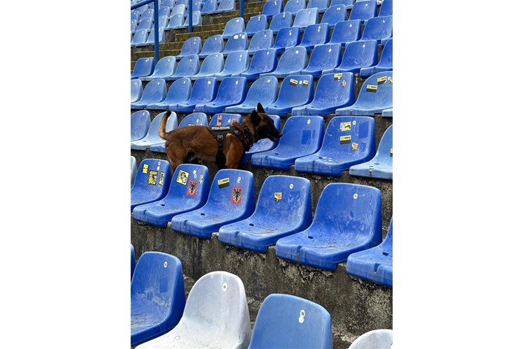 Slika 